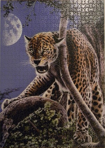 leopardi_1000.jpg